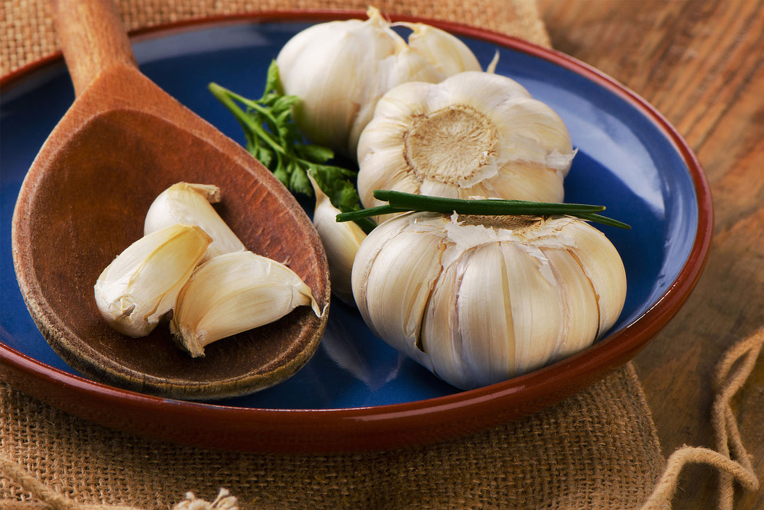 Huge Health Benefits Of Garlic